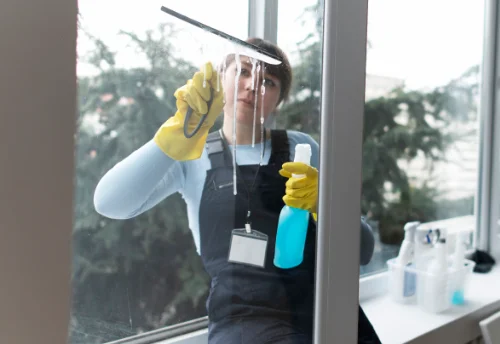 Nettoyage de vitres intérieures et extérieures à Chavannes-sur-l'Étang